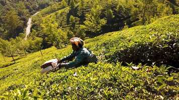 Free download Welcome to India ! [CINEMATIC TRAVEL FILM] video and edit with RedcoolMedia movie maker MovieStudio video editor online and AudioStudio audio editor onlin